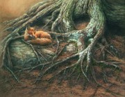 «Le renard & le vieil arbre»