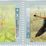 Oiseaux 1996