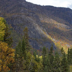 IMG_4686