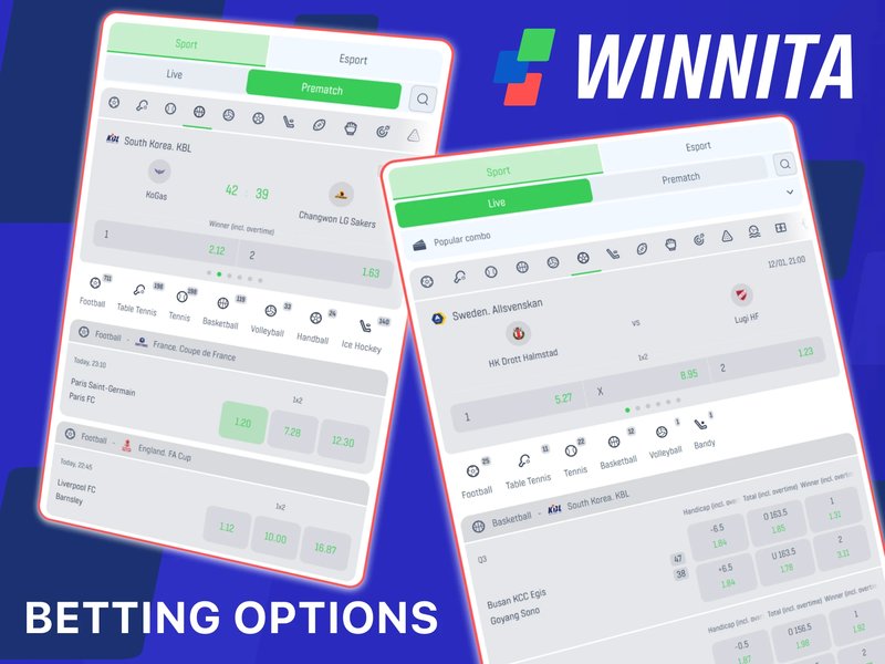 Immagine: Recensione Winnita Casino: Bonus e Slot per Giocatori Italiani